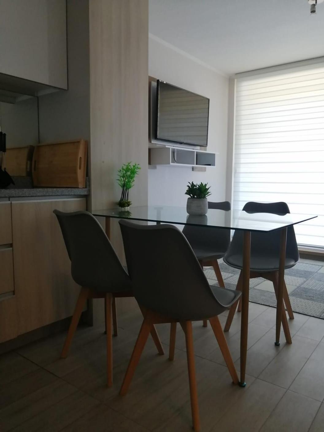 Alta Vista Pucon Centro Daire Dış mekan fotoğraf
