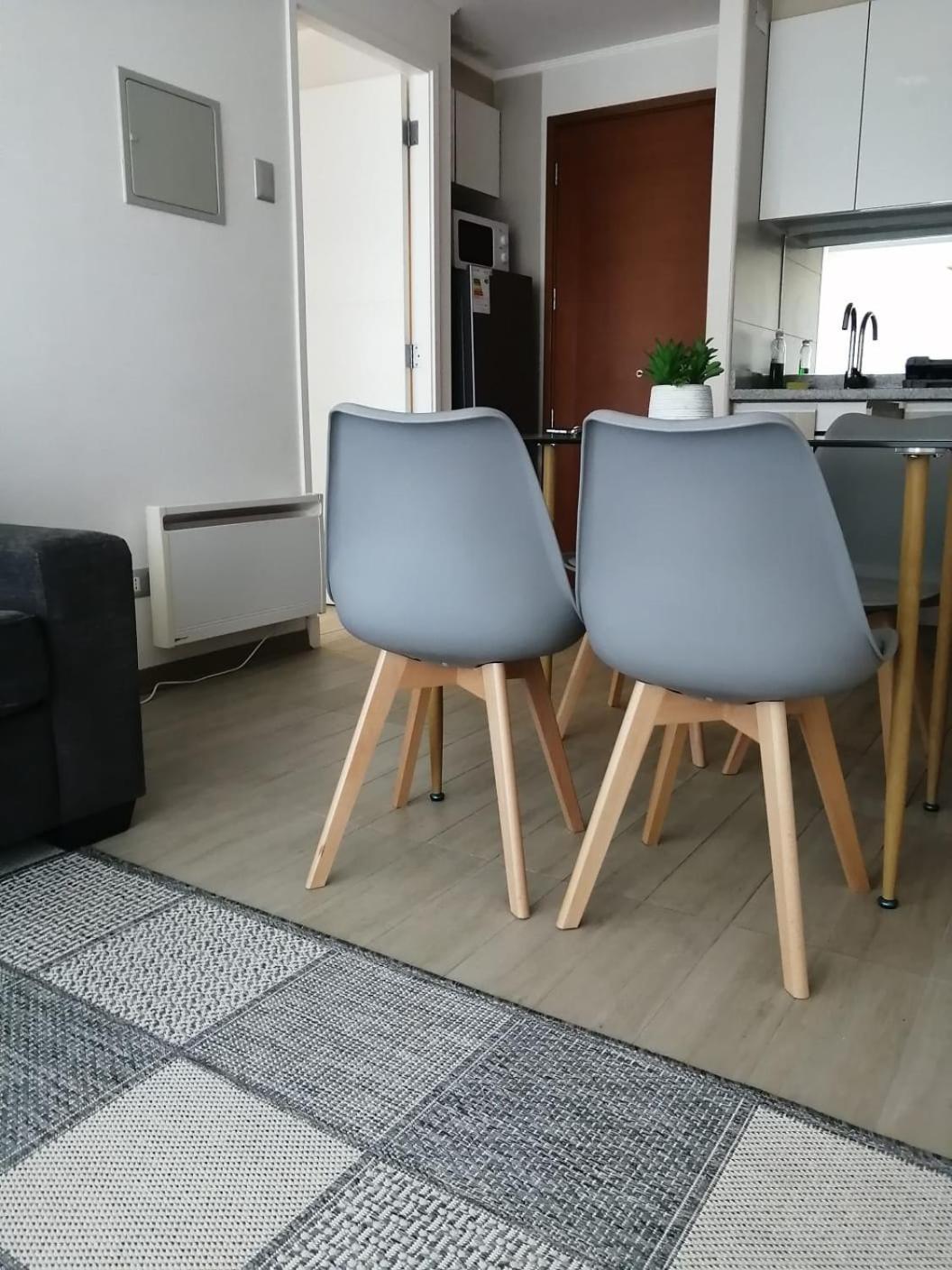 Alta Vista Pucon Centro Daire Dış mekan fotoğraf