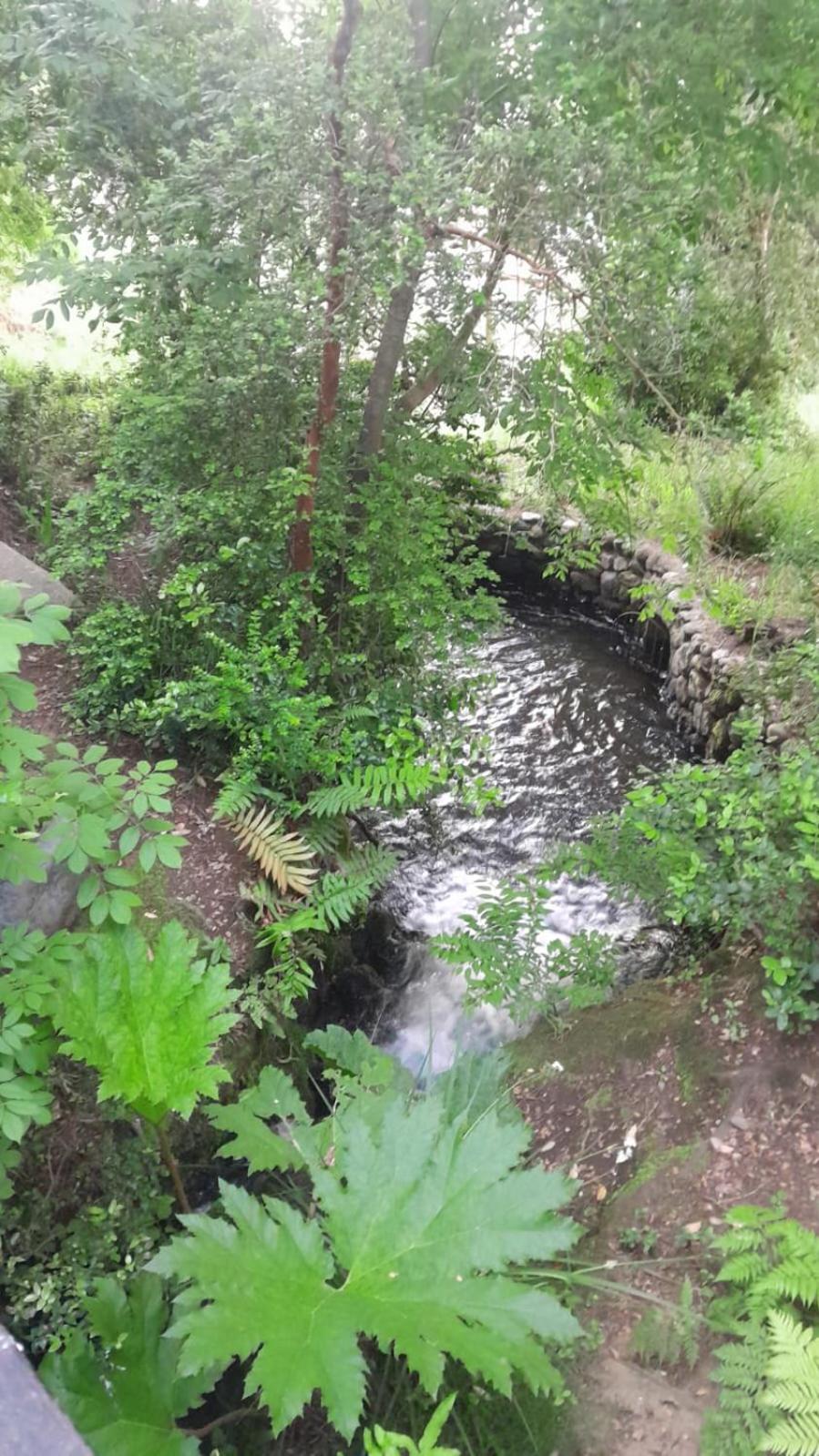 Alta Vista Pucon Centro Daire Dış mekan fotoğraf